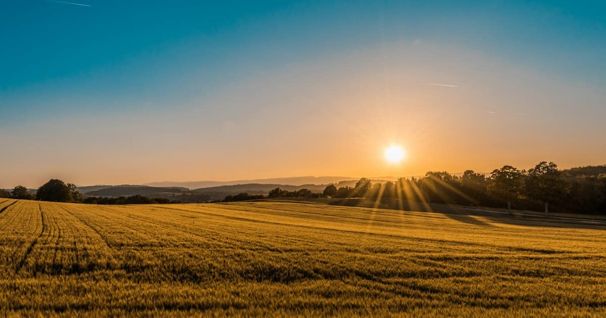 Scenic vacant land with rolling green hills under a clear sky