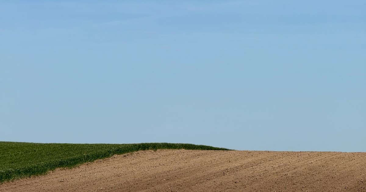 Campos verdes abiertos bajo un cielo azul brillante