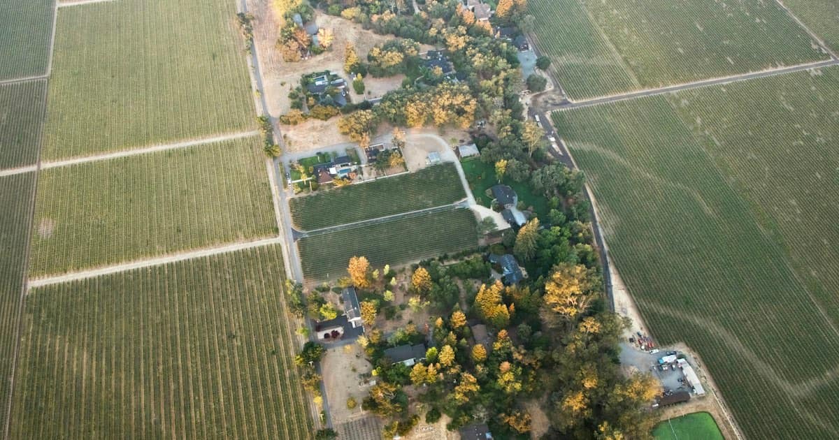 Vista aérea de un campo de pasto verde extendiéndose hacia el horizonte