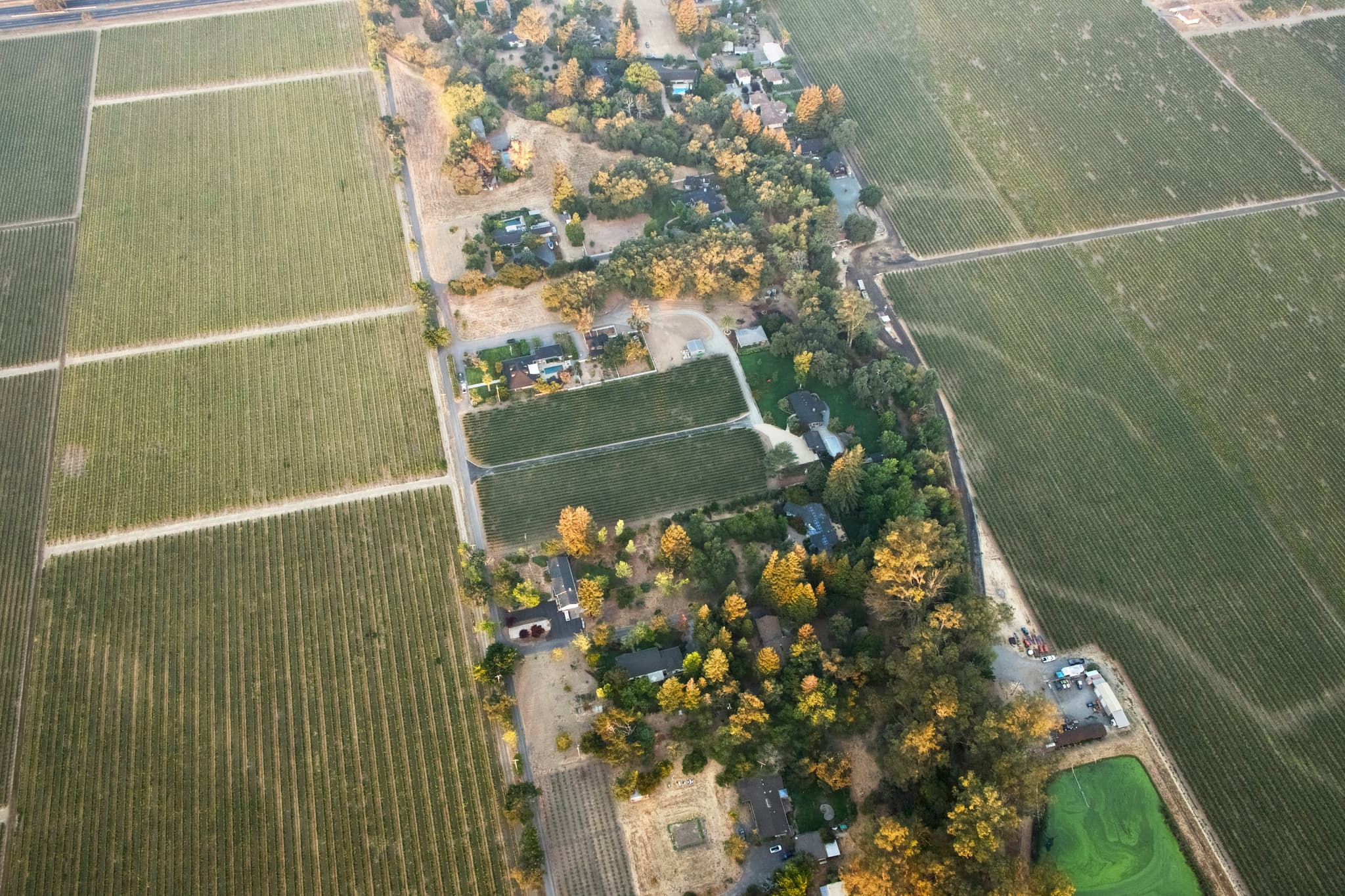 Aerial view of scenic green land parcels