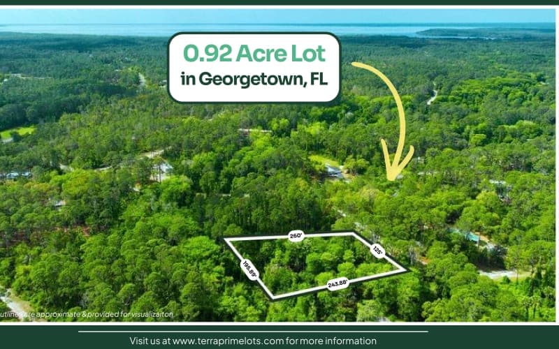 Terreno Boscoso de 0.92 Acres en Georgetown, FL — Sin HOA, Cerca del Rio St. Johns
