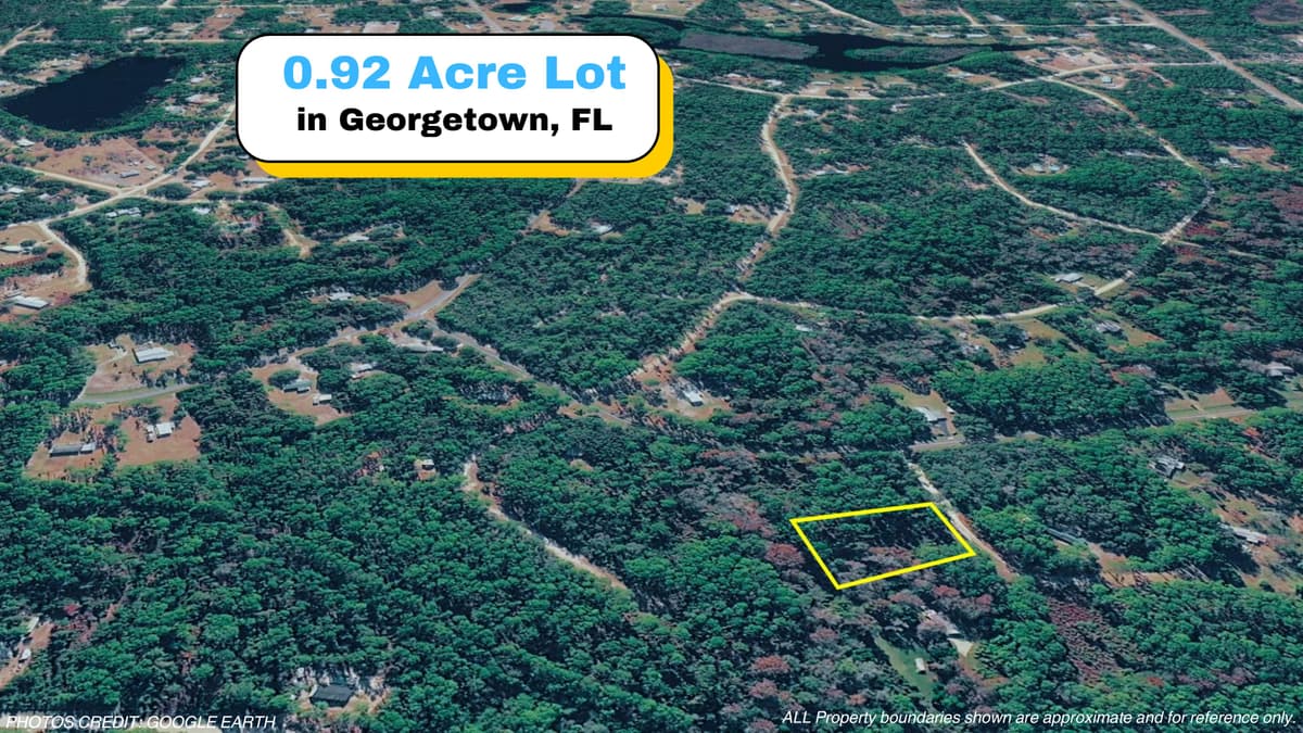 Wooded 0.92-Acre Lot in Georgetown, FL — No HOA, Near St. Johns River