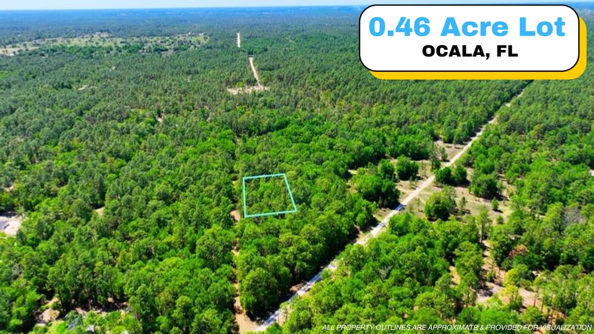 Lote Boscoso de 0.46 Acres en Ocala, FL — Cerca del Rainbow River y el Centro Ecuestre